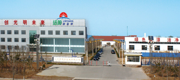 Shandong JIEYANG New Energy Co.,Ltd.
